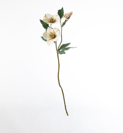 Kunstig hvit Helleborus Kunstig hvit Helleborus